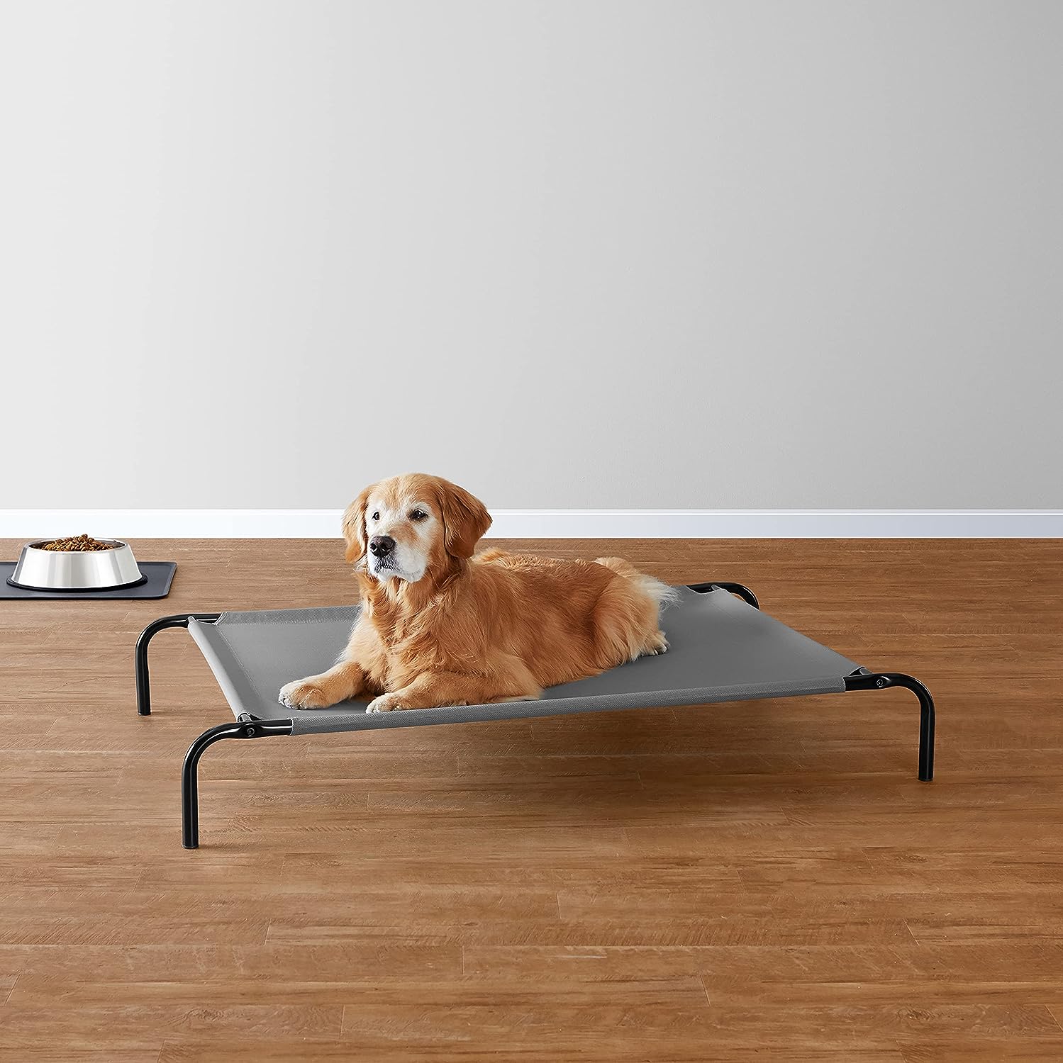 Amazon Basics Cooling Elevated Dog Bed with Metal Frame A Comprehensive Review