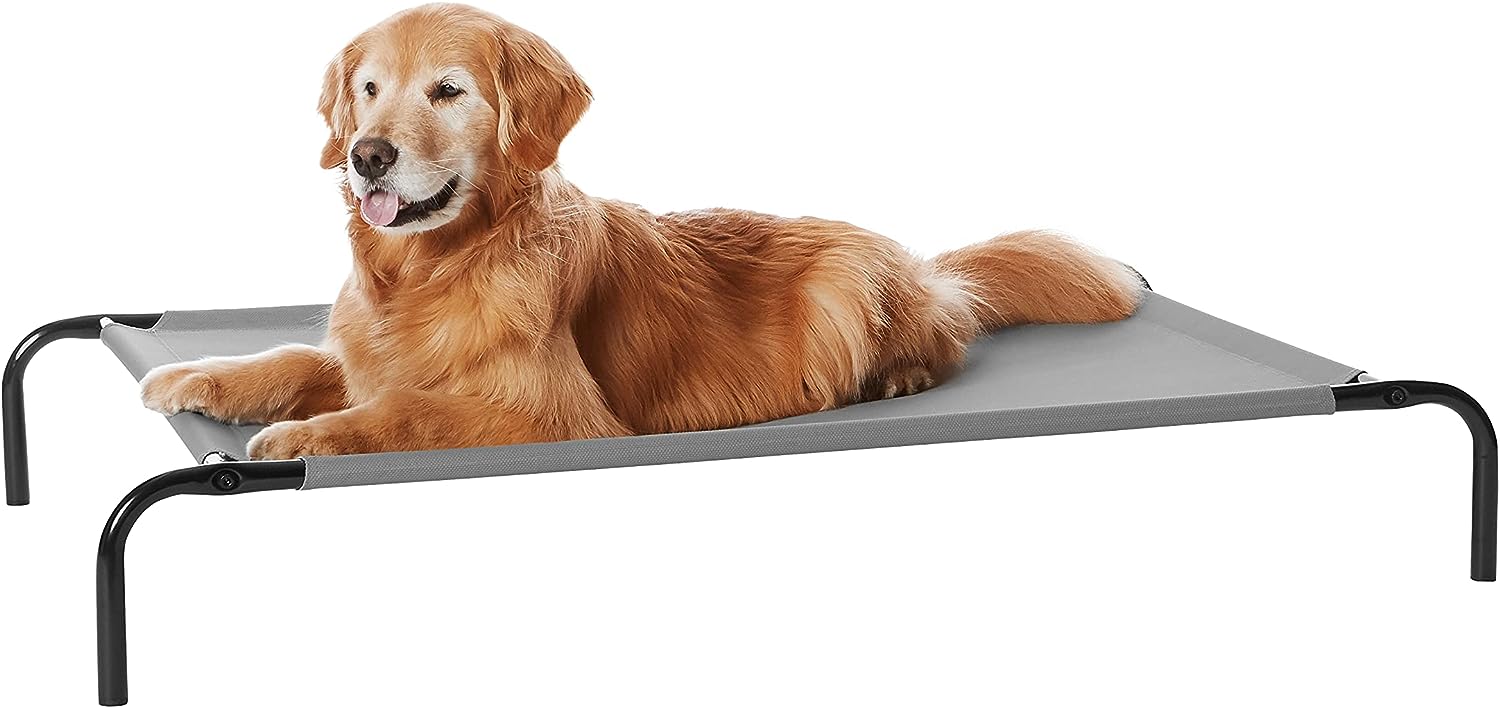 Amazon Basics Cooling Elevated Dog Bed with Metal Frame A Comprehensive Review