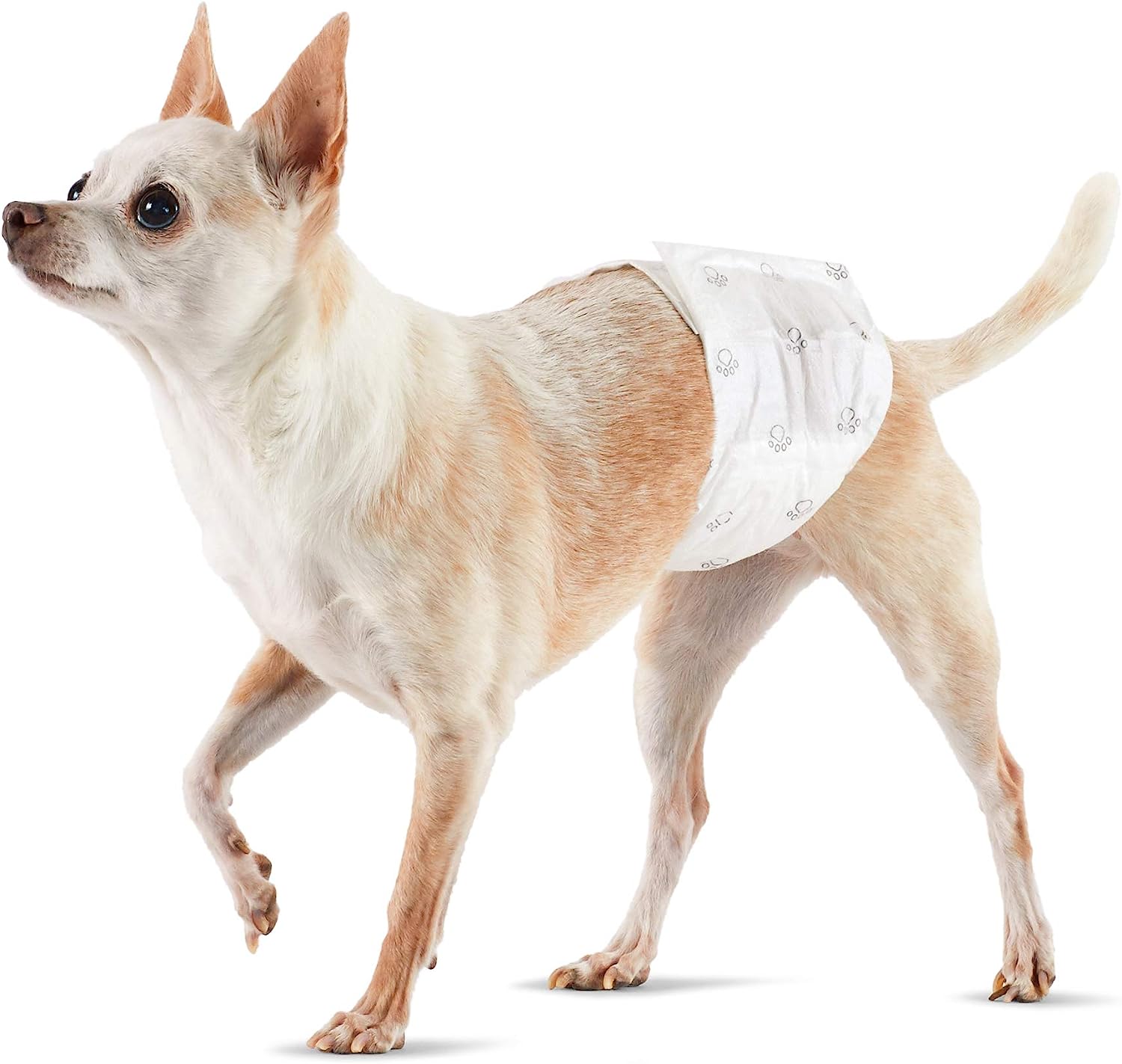 Amazon Basics Male Dog Wrap, Disposable Diapers The Ultimate Solution for Canine Incontinence